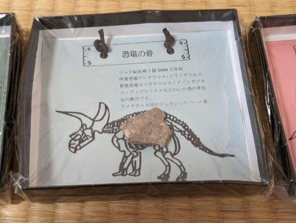 ユニバーサル・スタジオ 恐竜の化石3個セット