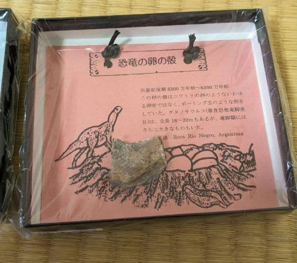 ユニバーサル・スタジオ 恐竜の化石3個セット