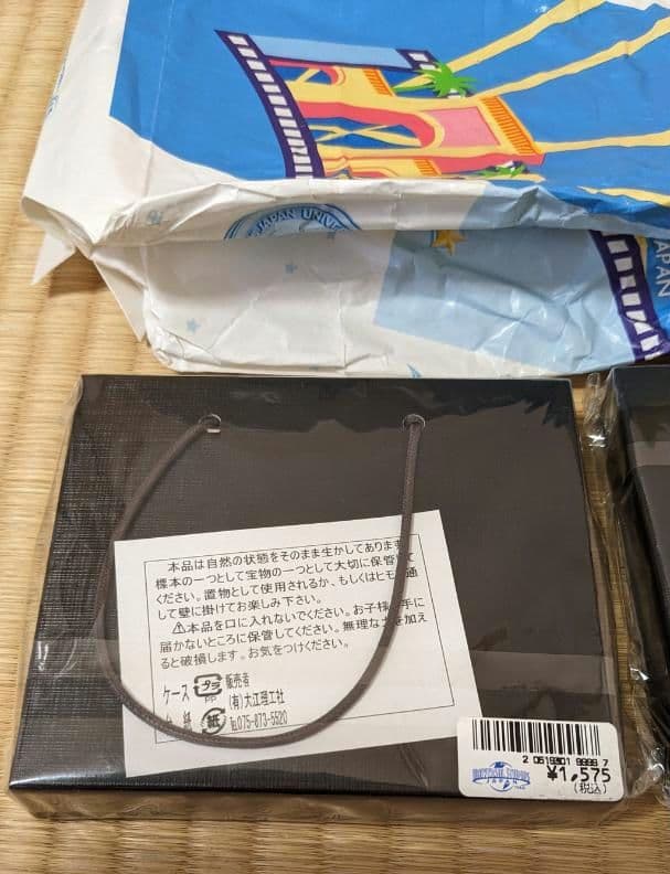 ユニバーサル・スタジオ 恐竜の化石3個セット