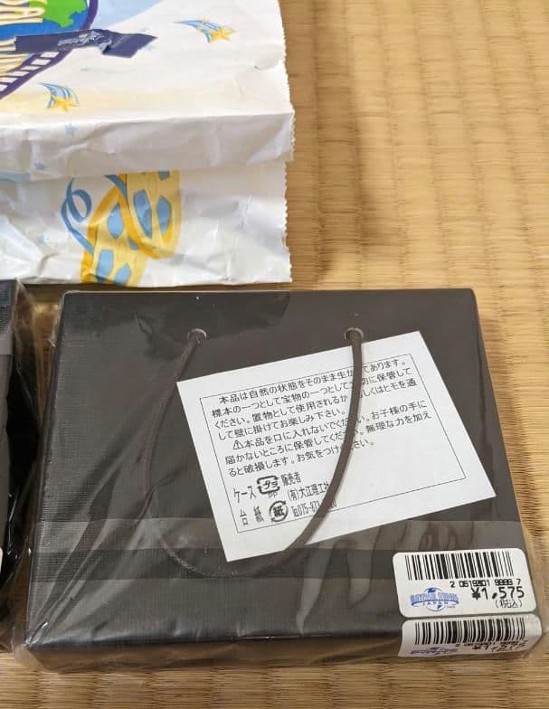 ユニバーサル・スタジオ 恐竜の化石3個セット