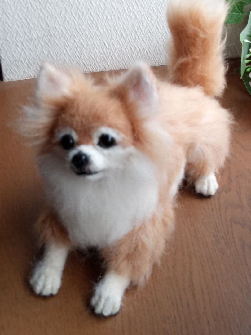 羊毛フェルトオーダー・受付専用ページ・わんちゃん