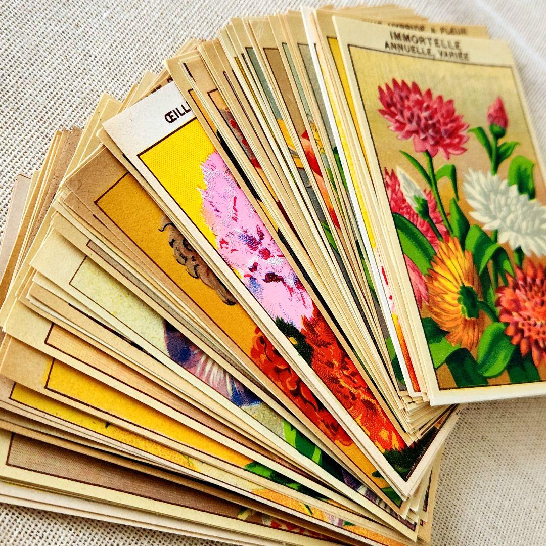 【まとめ売りA】ヴィンテージ紙もの＊蚤の市＊フランス種袋ラベル100枚