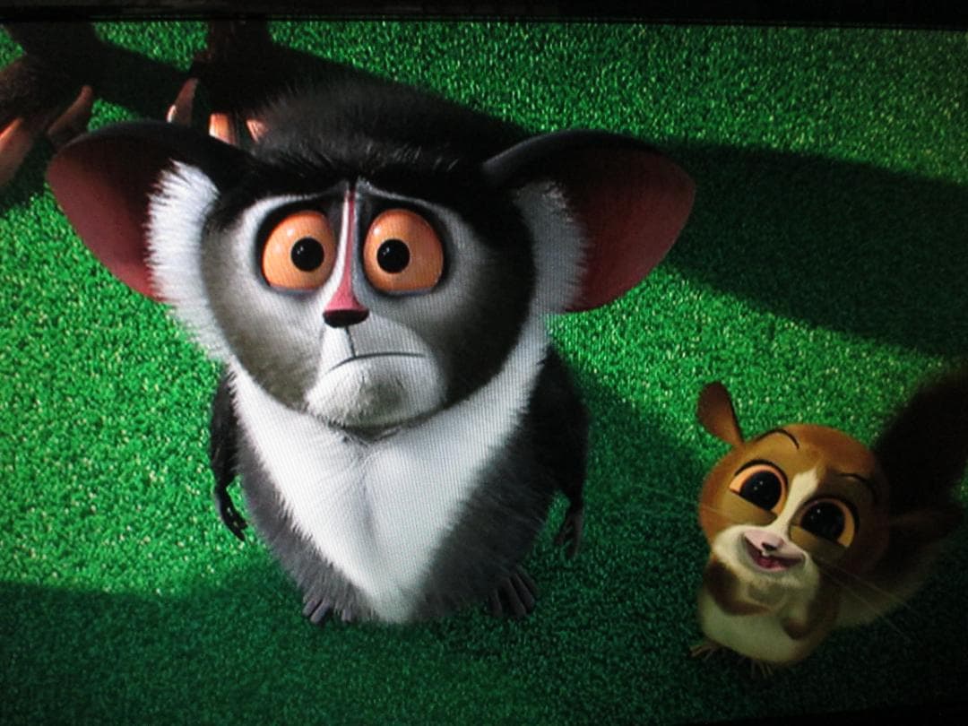 Panasonic 1TB 2番組同時録画 BDレコーダー DMR-BWT660