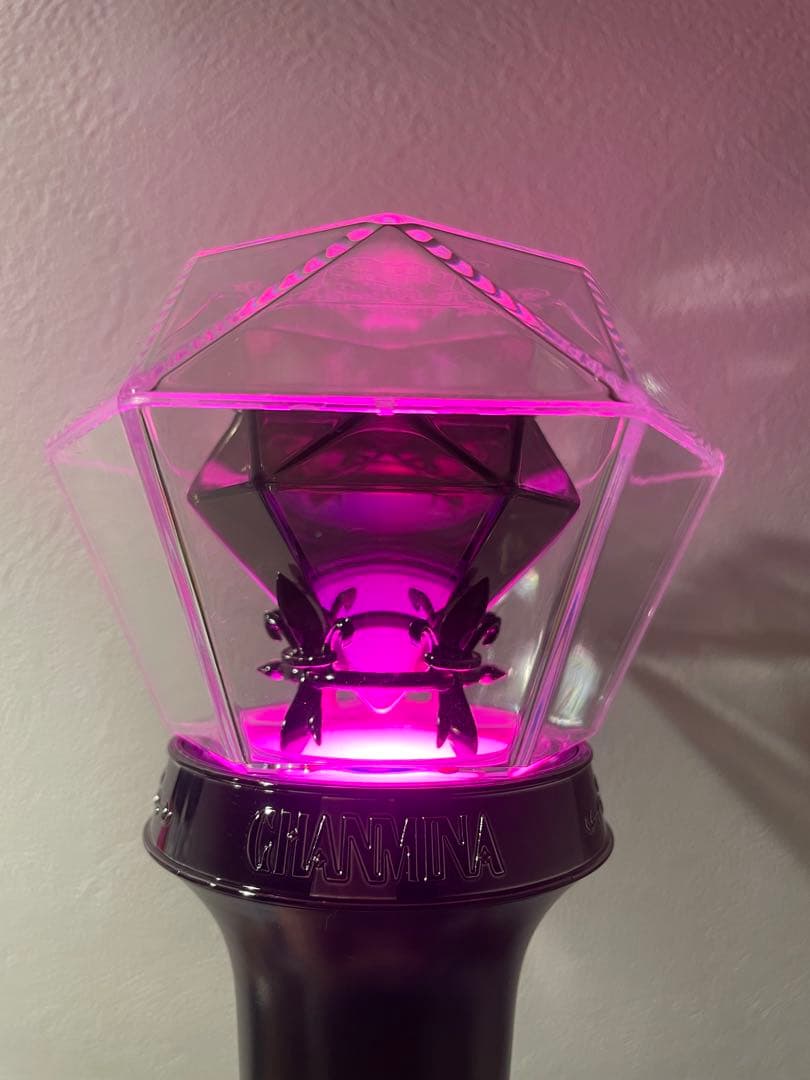 み*ー様 ちゃんみな ペンライト