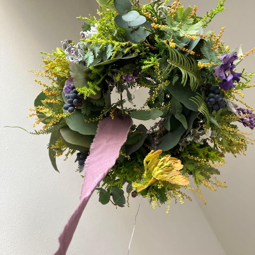 感謝SALE!オーレアミモザとプルモサムのフライングリース　ビオラ