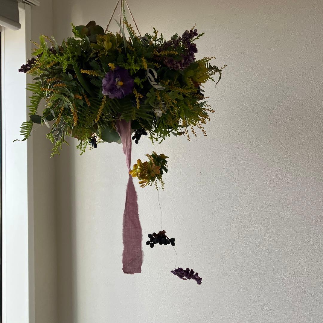 感謝SALE!オーレアミモザとプルモサムのフライングリース　ビオラ