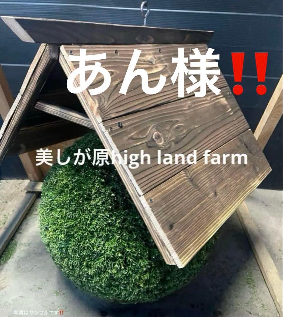 杉玉　約30センチ ‼️屋根付き　お客様ご注文品♪