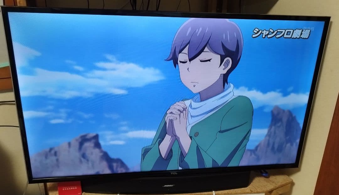 【期間限定♪】TCL フルHD液晶テレビ 43インチ 43D2900F