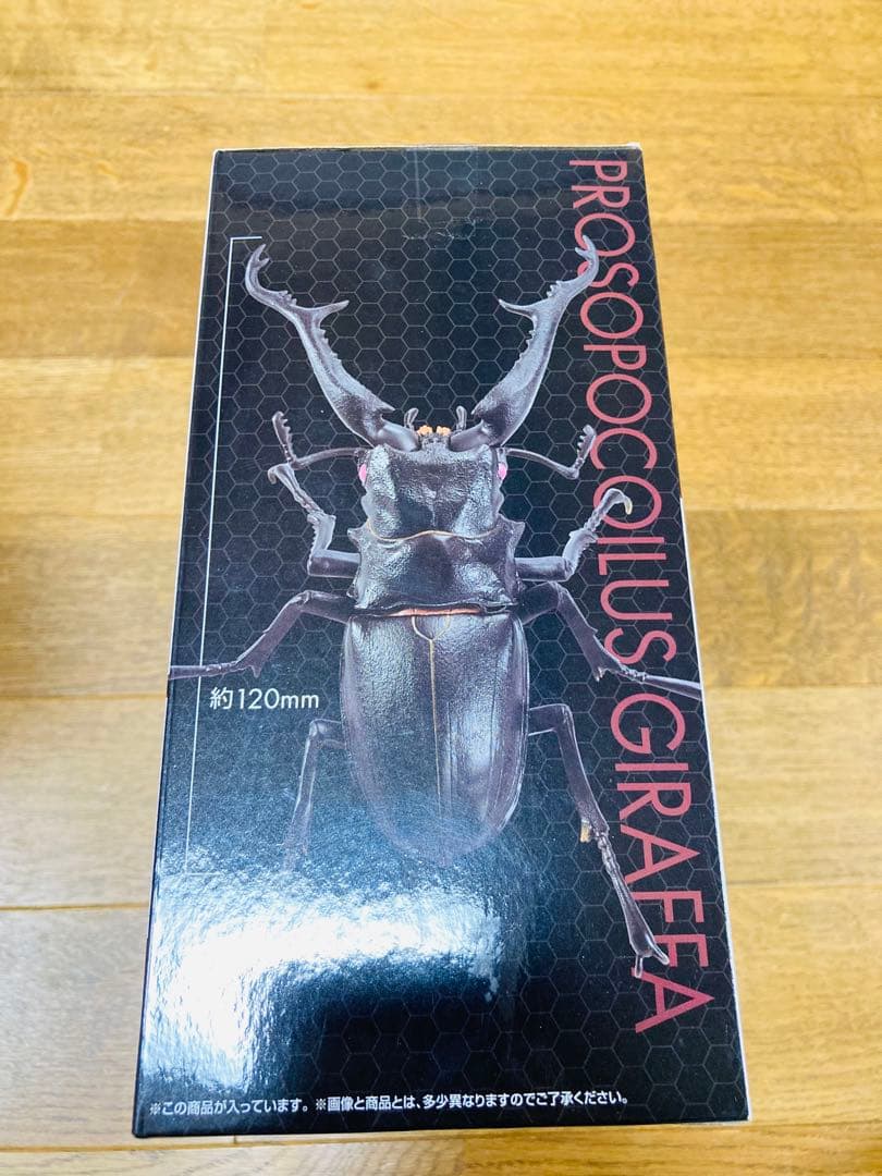 水曜セール【新品未開封】一番くじ昆虫 世界の昆虫だいしゅうごう！ コンプセット