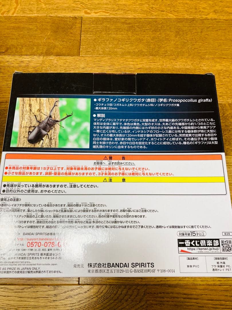 水曜セール【新品未開封】一番くじ昆虫 世界の昆虫だいしゅうごう！ コンプセット