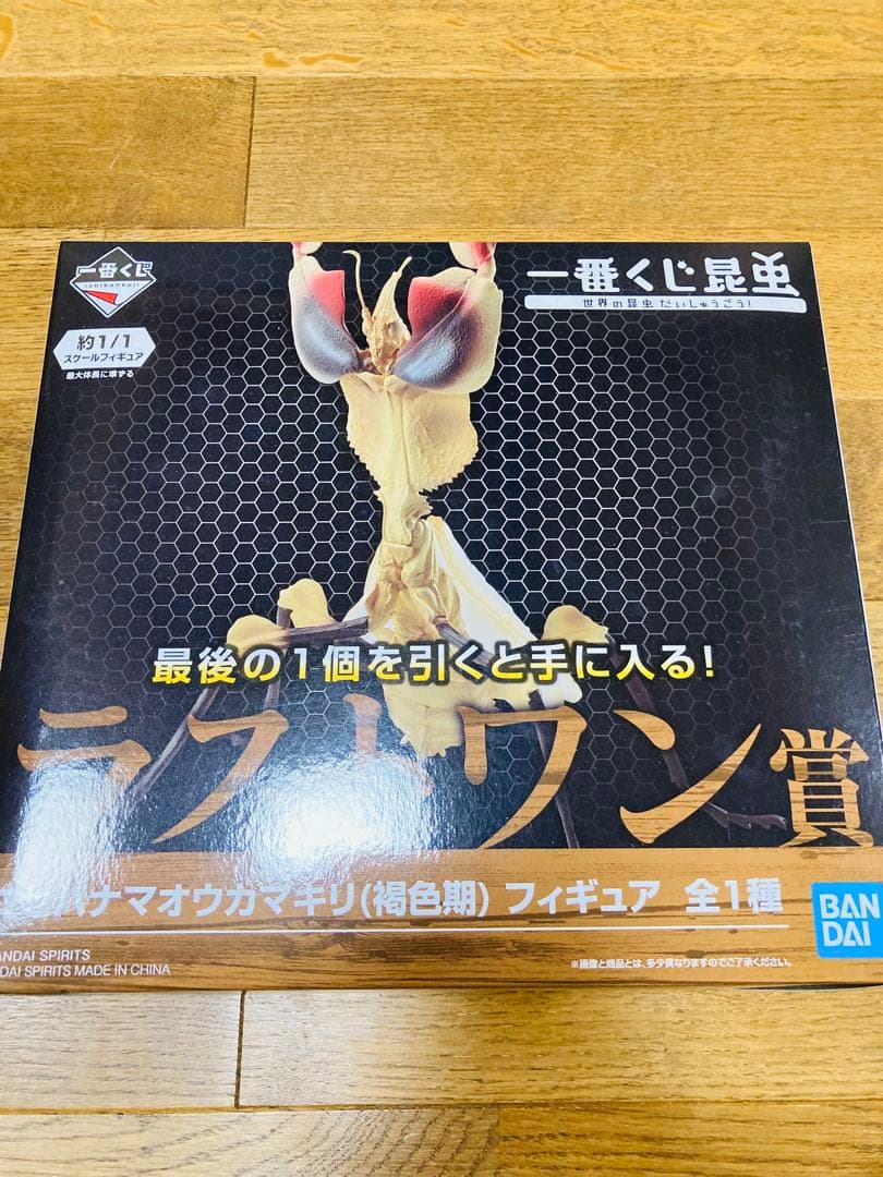 水曜セール【新品未開封】一番くじ昆虫 世界の昆虫だいしゅうごう！ コンプセット