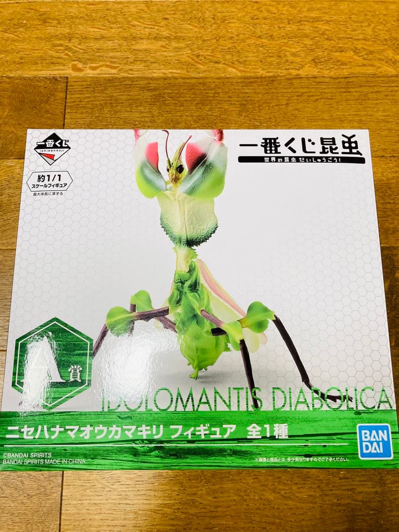 水曜セール【新品未開封】一番くじ昆虫 世界の昆虫だいしゅうごう！ コンプセット