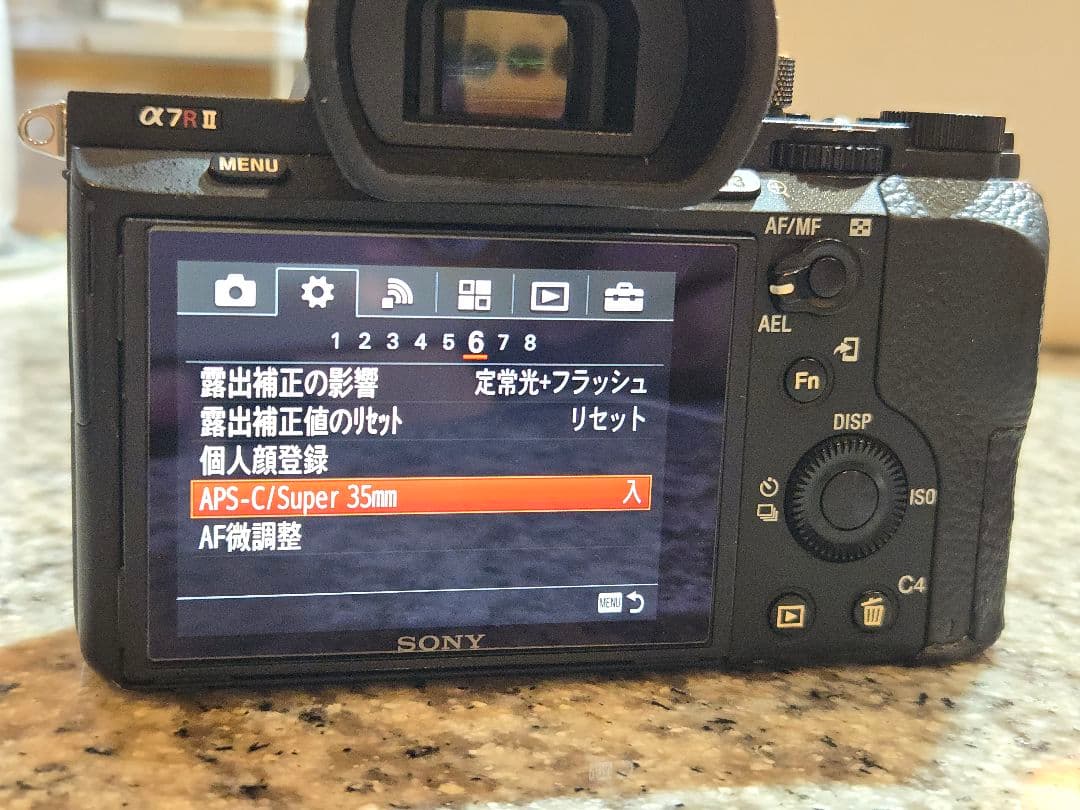 SONYα7RII 縦グリップ 動作良好 ボディ外観要確認