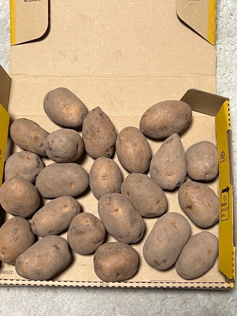 【江雄】種芋　グラウンドペチカ　インカの目覚め　各3kg 合計6kg