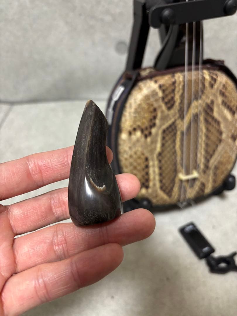 沖縄三線　蛇皮　スタンド付き　爪付き