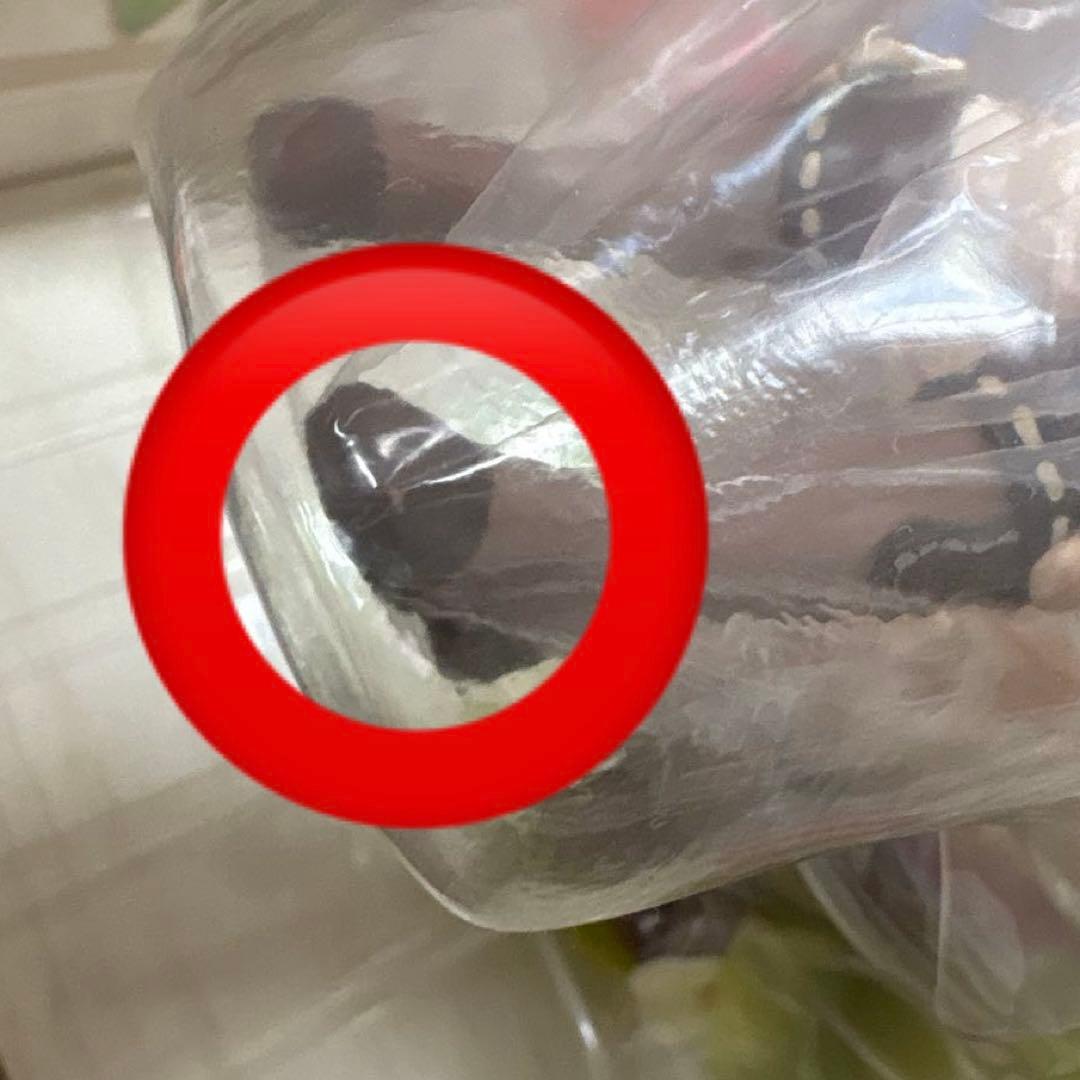 原神 クレー 火花騎士Ver. 1/7 完成品フィギュア