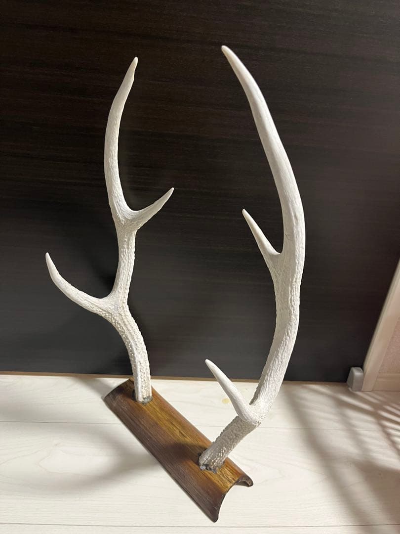 鹿の角 オブジェ 左右対 台座付き ニホンジカ インテリア ディスプレイ