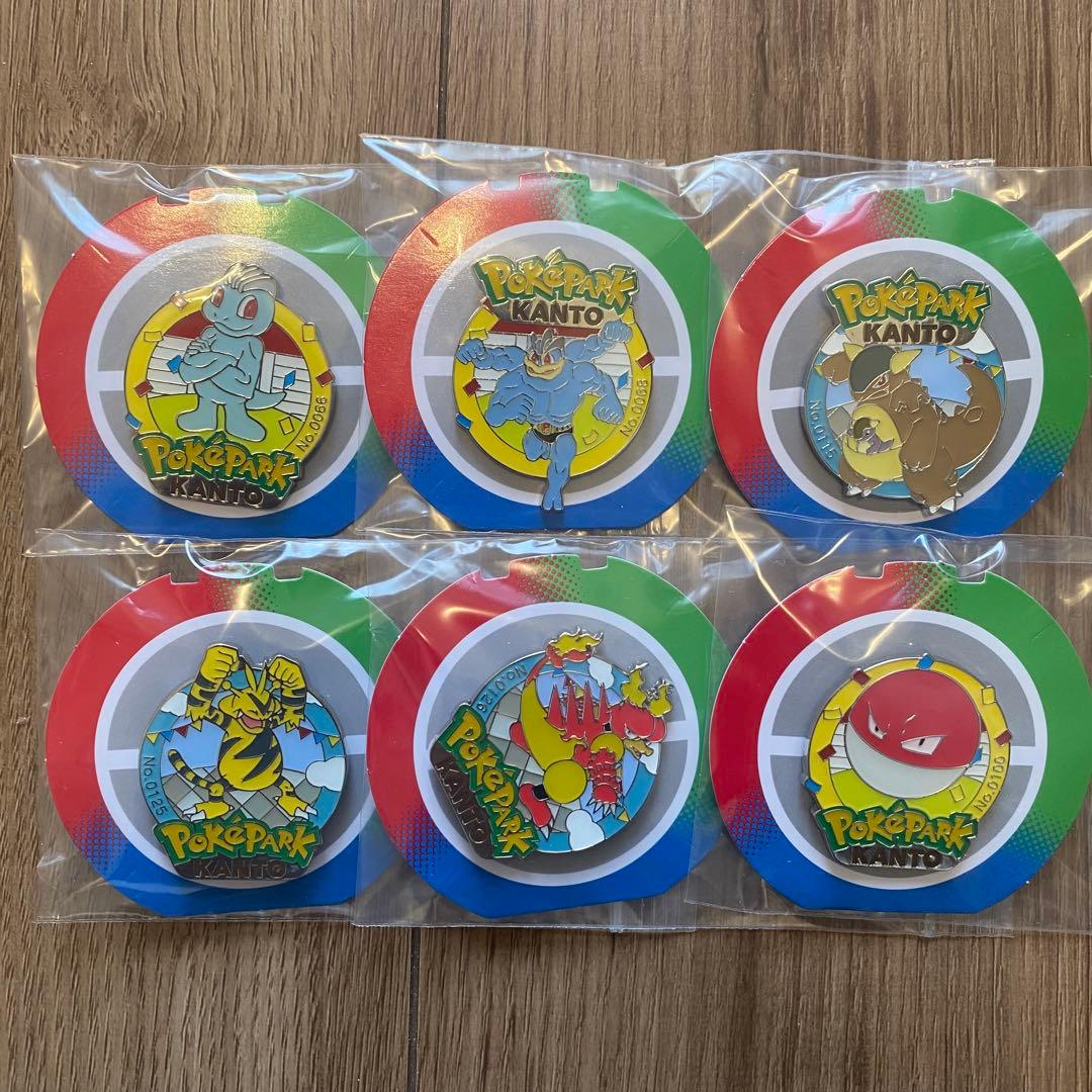 ポケパーク カントー モンスターボール ピンズ 重複無し 30点セット