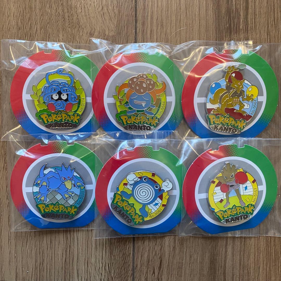 ポケパーク カントー モンスターボール ピンズ 重複無し 30点セット