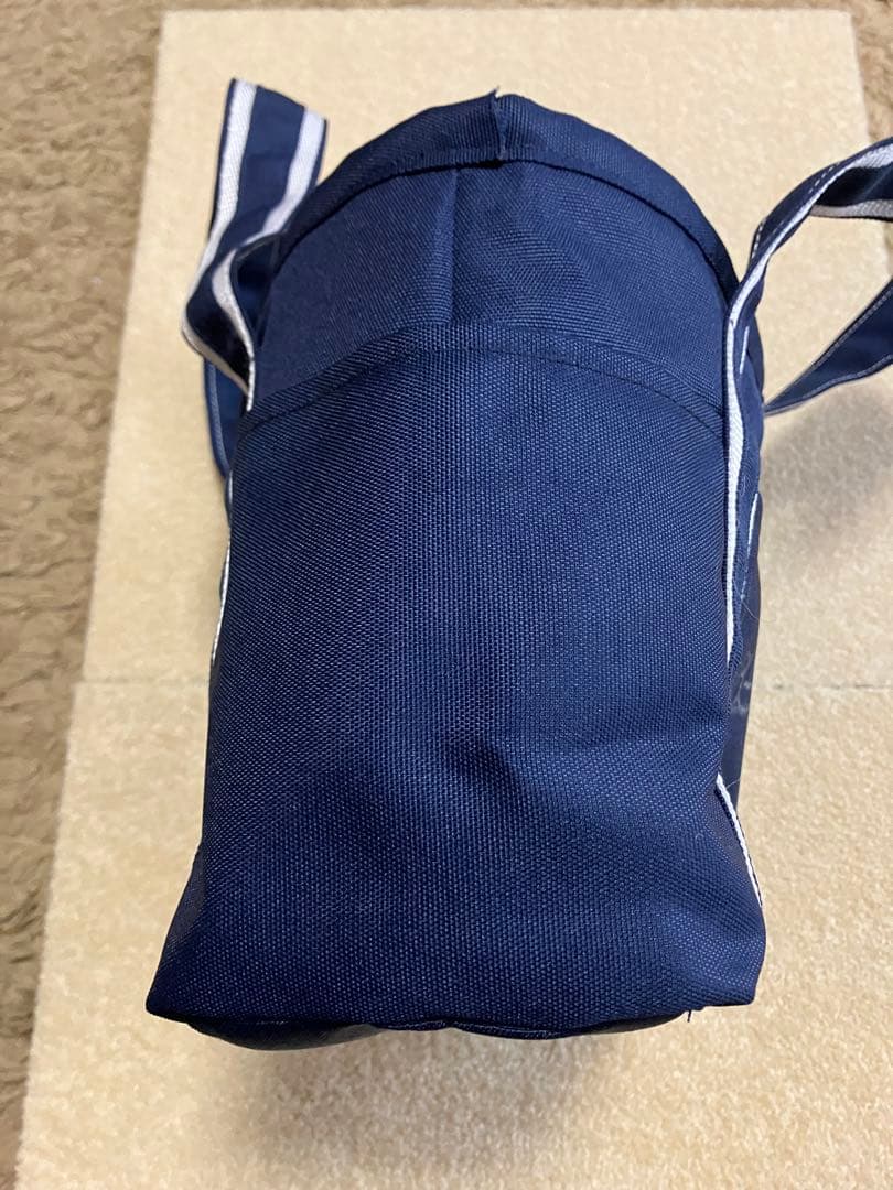 未使用　TEGT トートバッグ プロゴルファー渋野プロ、木戸プロのサイン入り