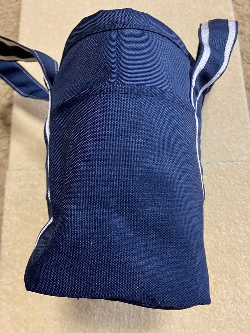 未使用　TEGT トートバッグ プロゴルファー渋野プロ、木戸プロのサイン入り