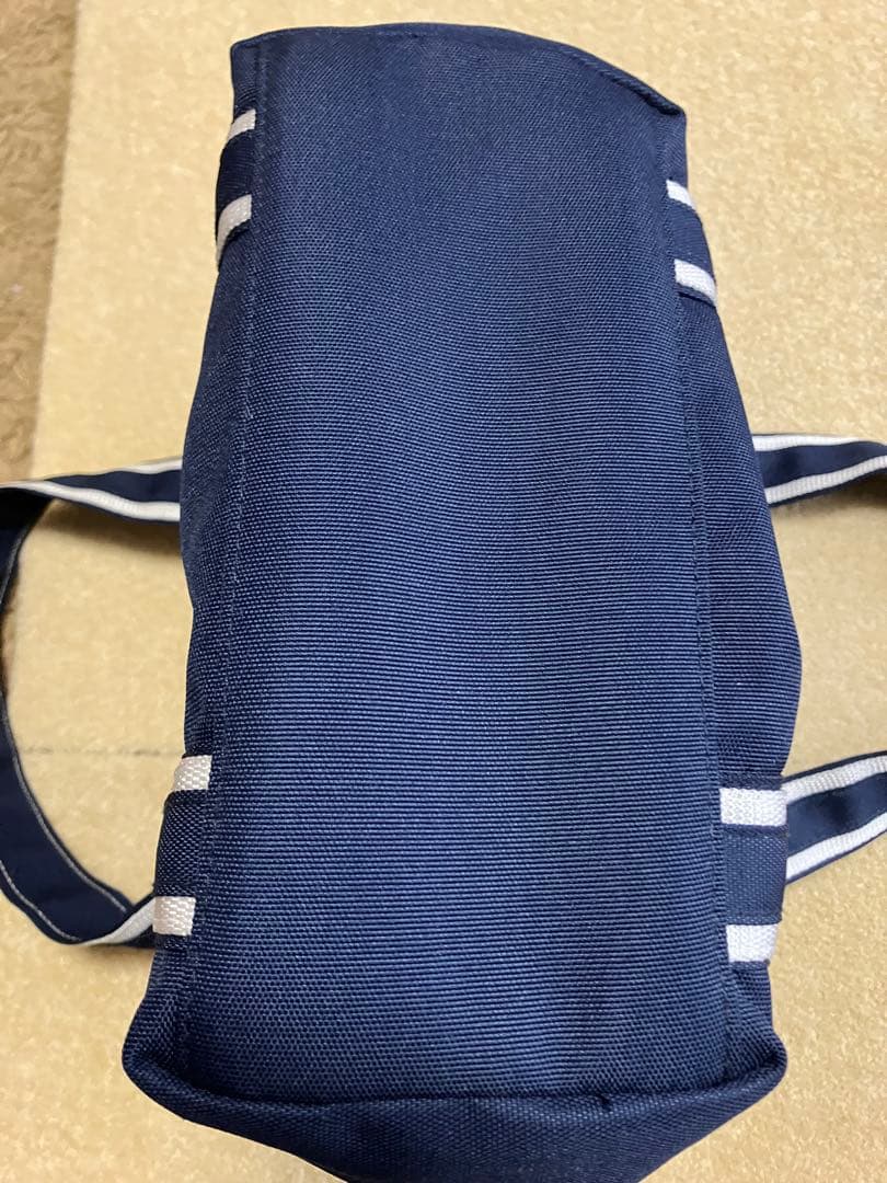 未使用　TEGT トートバッグ プロゴルファー渋野プロ、木戸プロのサイン入り