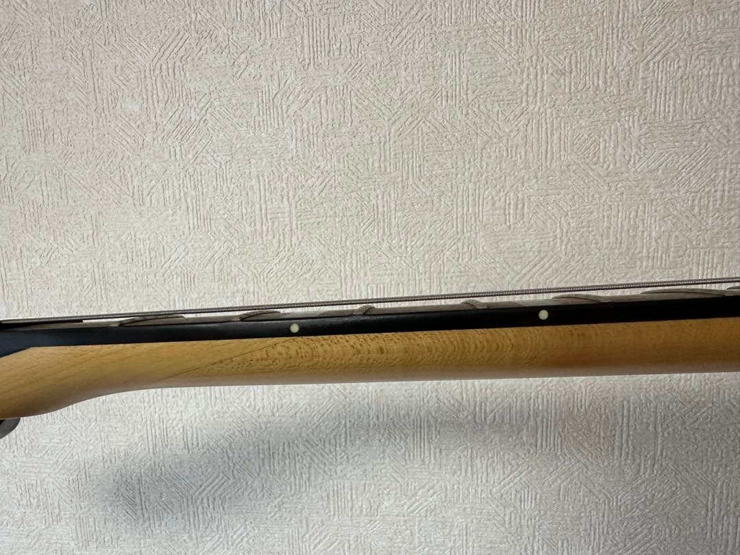 Daisy Rock エレキギター　ソフトケース付