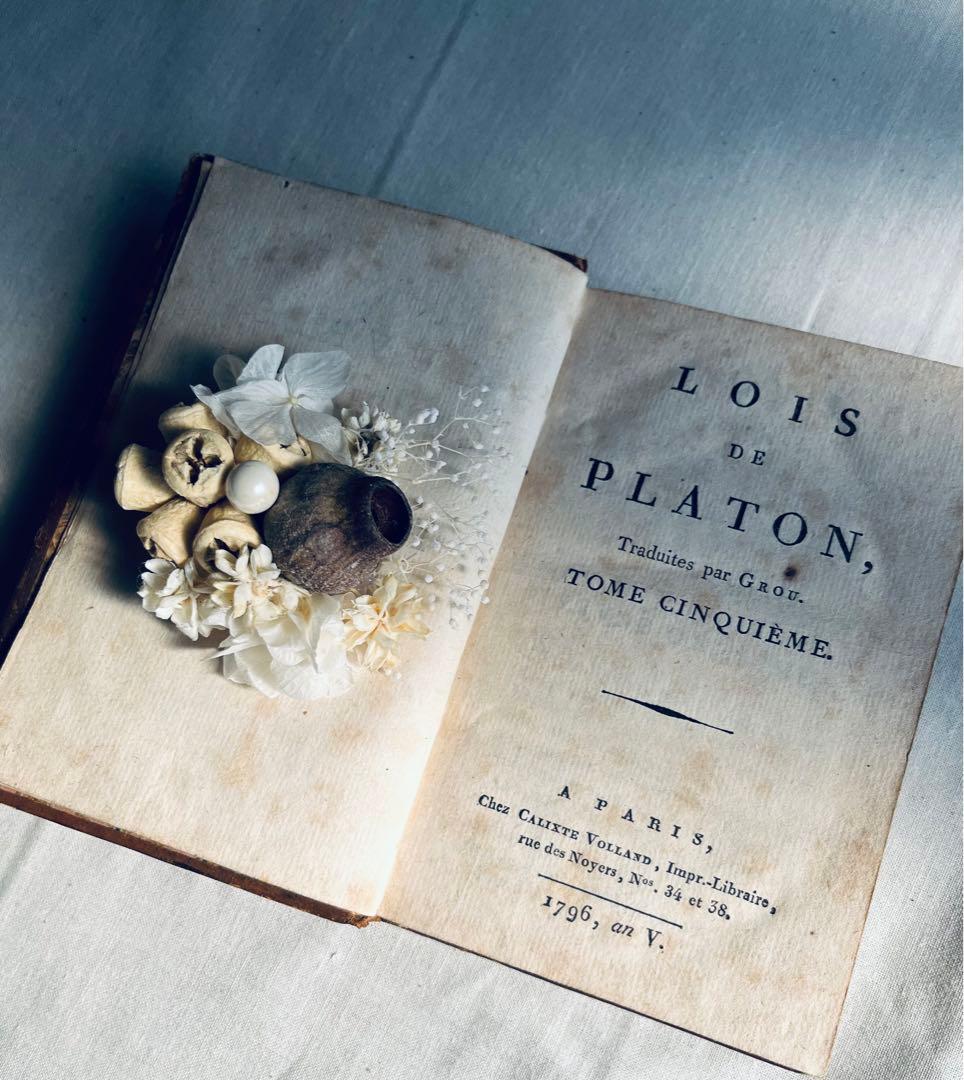 フラワー・ガーデニング corsage no.770