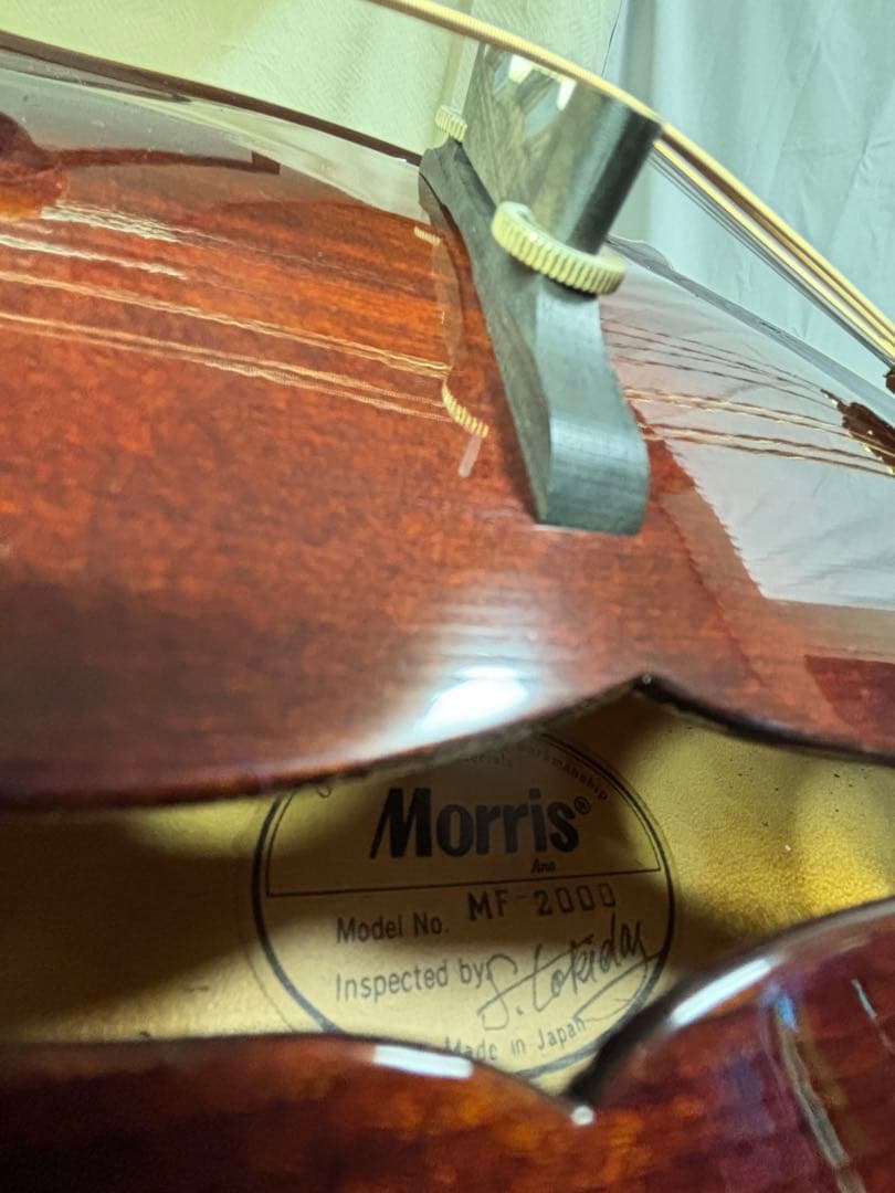 【レア】Morris MF-2000／フラットマンドリン