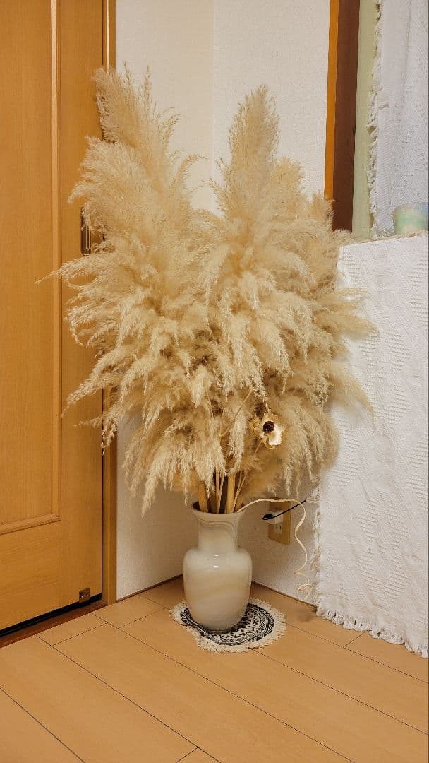 パンパスグラス ドライフラワー 約120cm 15本