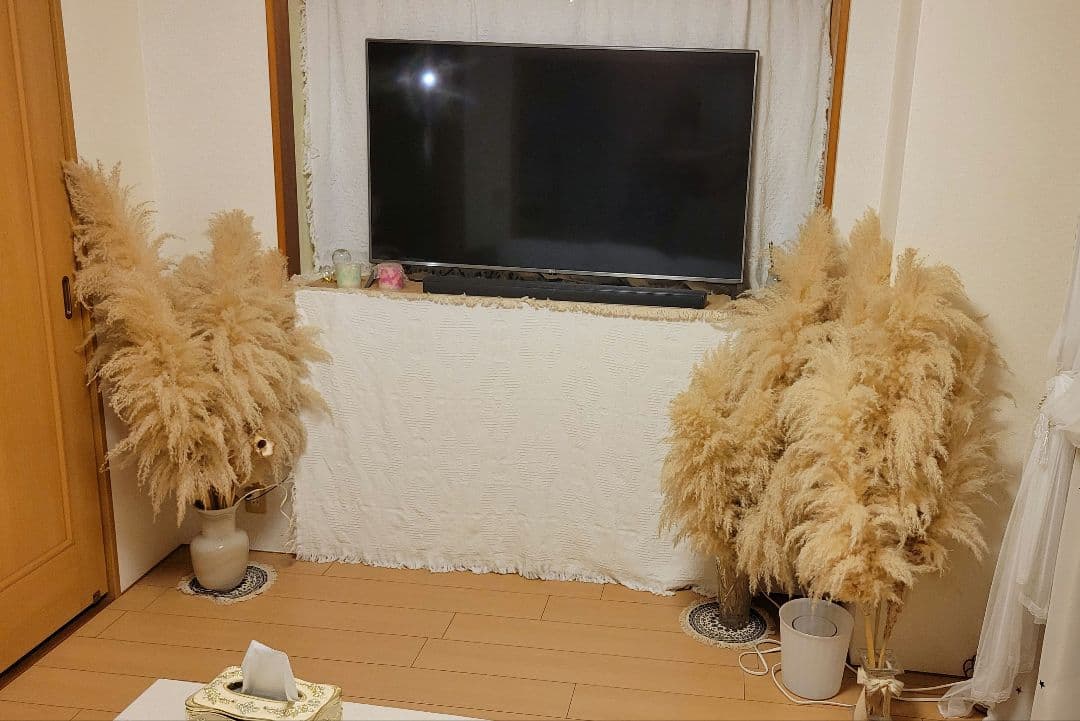 パンパスグラス ドライフラワー 約120cm 15本