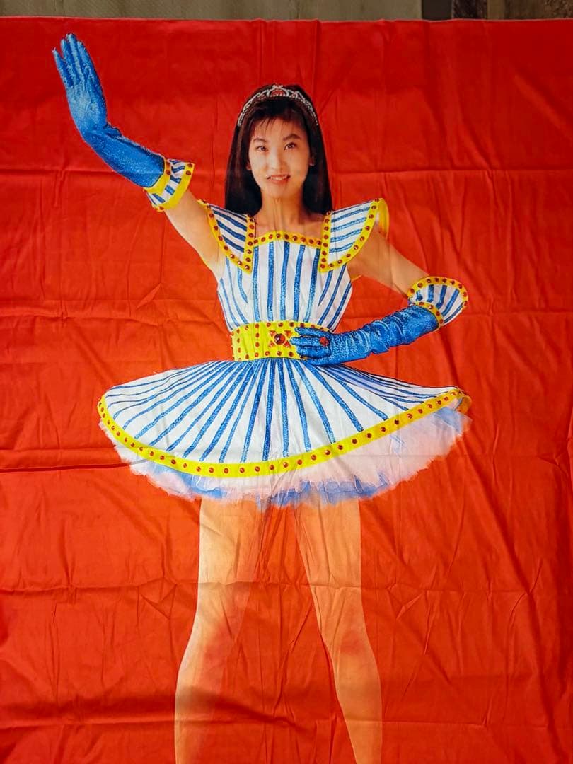 森高千里　タペストリー　壁掛け　カーテン　肌掛け　新品　非実力派宣言　c