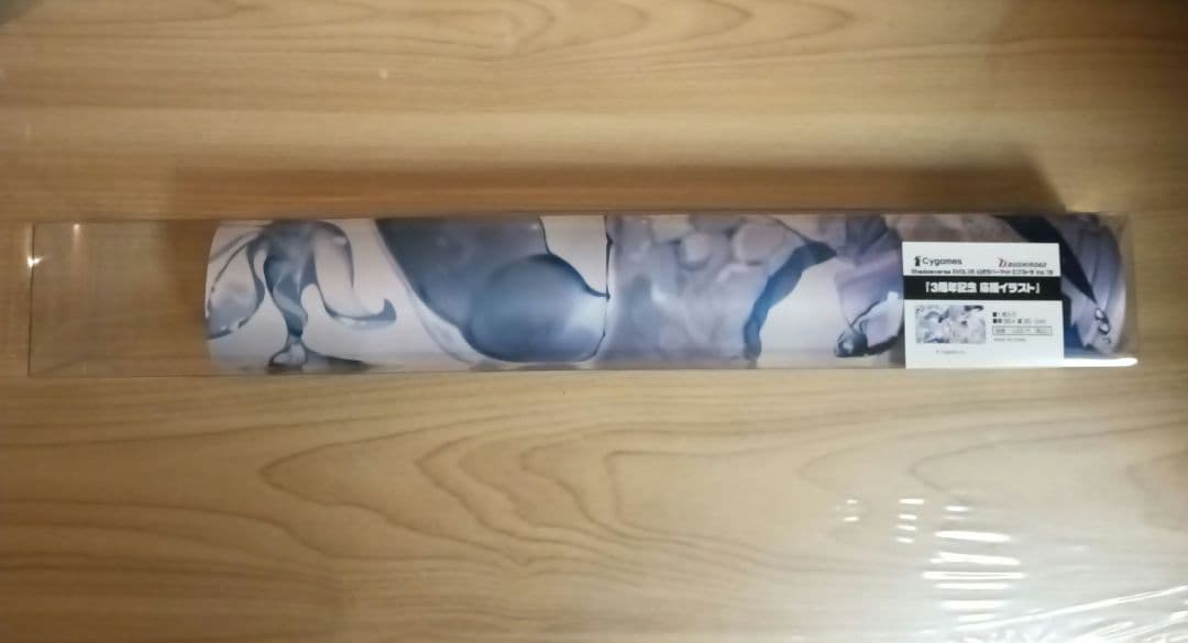 Shadowverse EVOLVE 『３周年記念 応援イラスト』フィルレイン