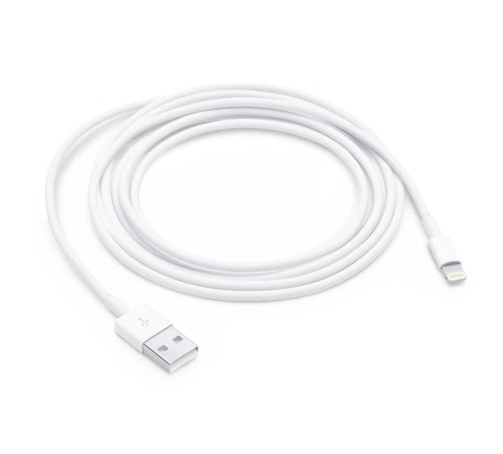 Apple純正★5WUSBアダプタ&USBケーブル（2m）セット