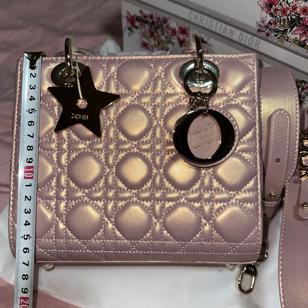 コレクション DIOR NOVELTY BAG (NOT FOR SALE)