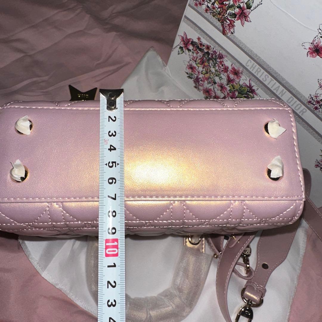 コレクション DIOR NOVELTY BAG (NOT FOR SALE)