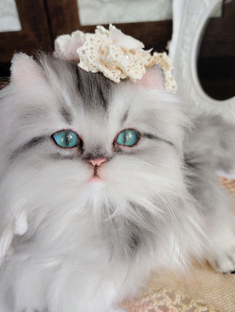 ミヌエット子猫ちゃん♡美しい子♡生後6ヶ月♡アートドール♡ぬいぐるみ♡