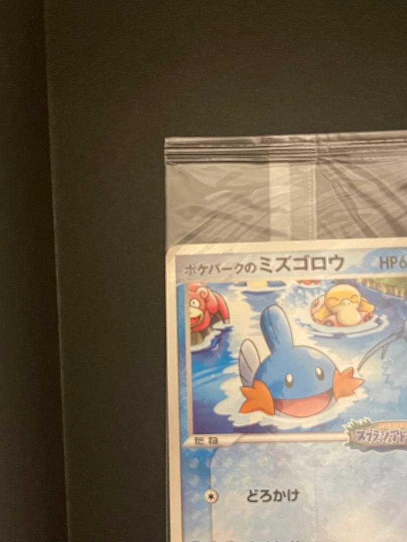 ポケモンカード　ポケパークのミズゴロウ　プロモ　未開封　048/PCG-P ②