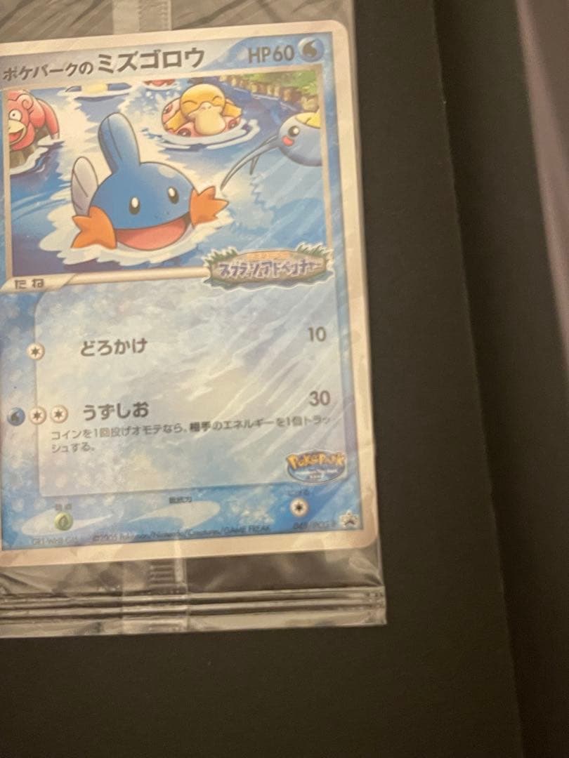 ポケモンカード　ポケパークのミズゴロウ　プロモ　未開封　048/PCG-P ②