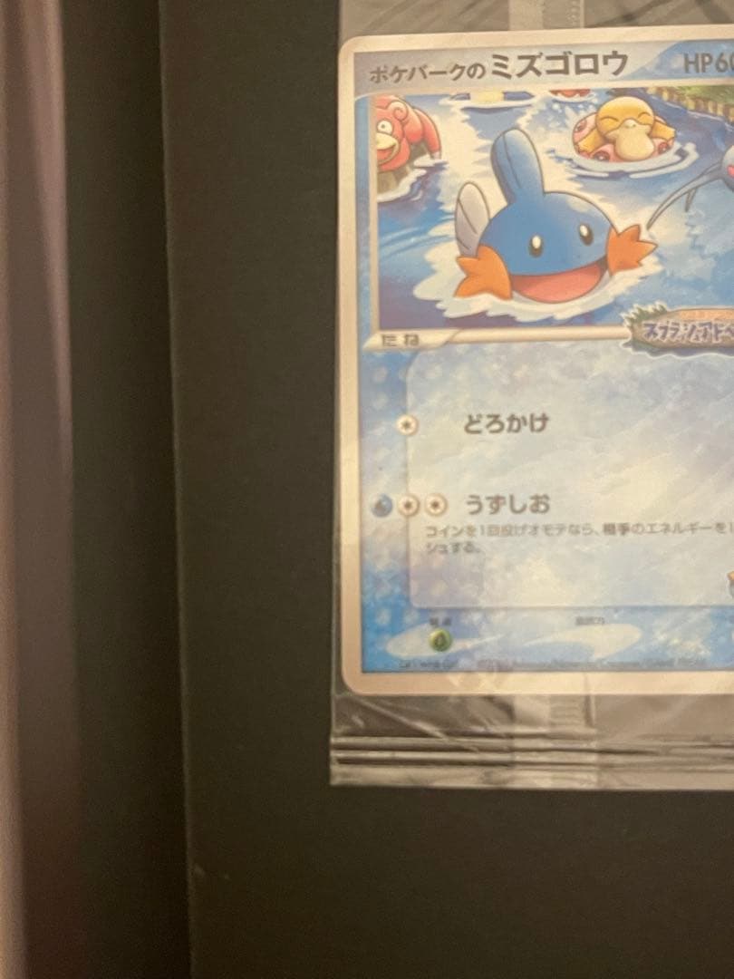 ポケモンカード　ポケパークのミズゴロウ　プロモ　未開封　048/PCG-P ②