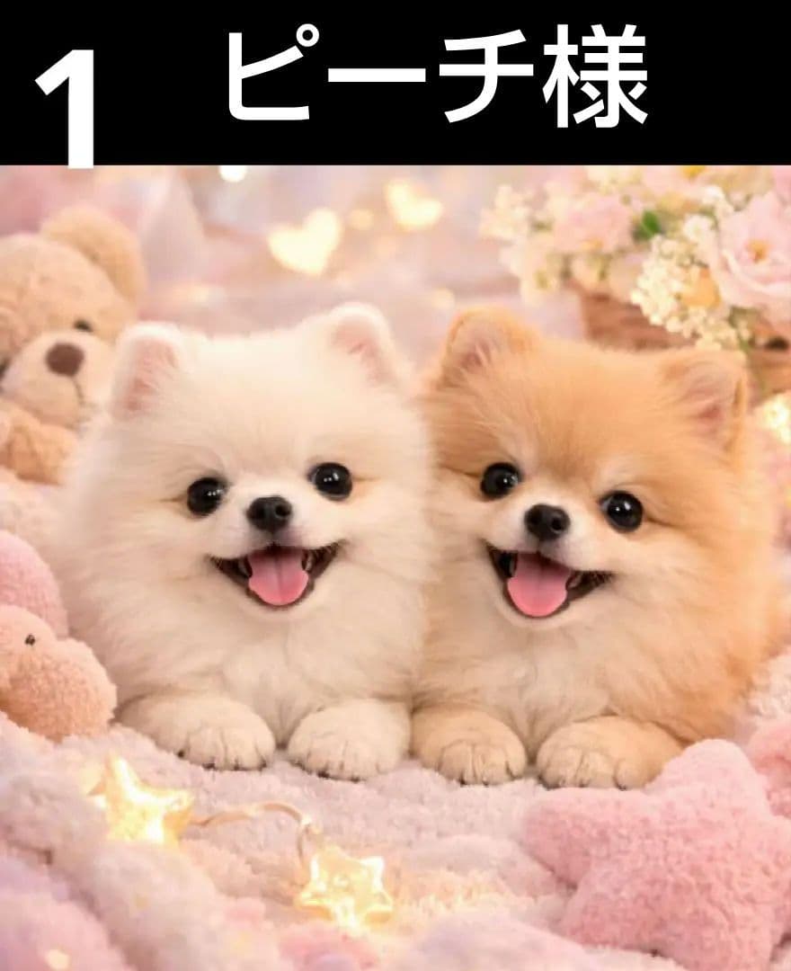 オーダーページ　ハンカチ5085 ふわふわお布団ワンコ柄　ハンドメイド3/22