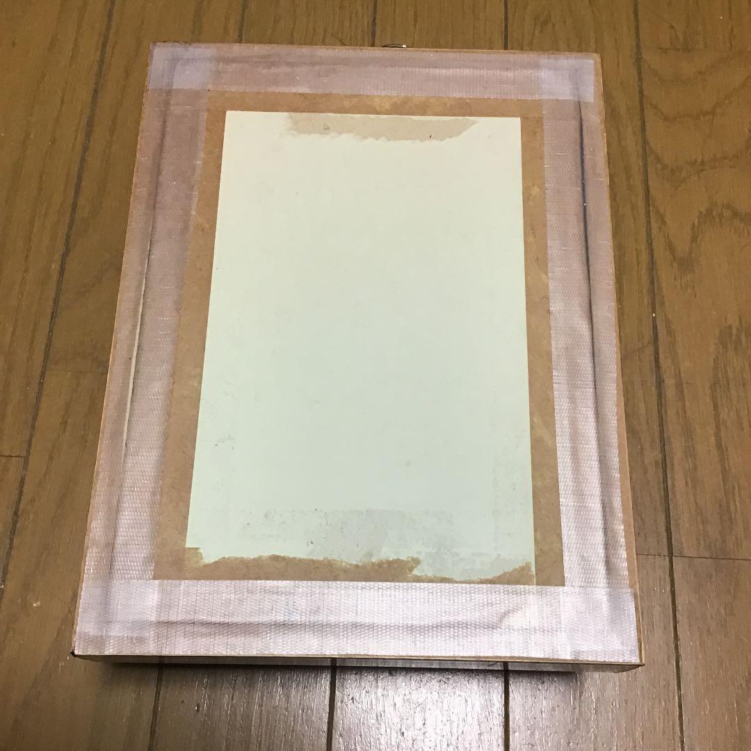 Pavilion Ulysses,Papilio Blumeiオオルリアゲハ