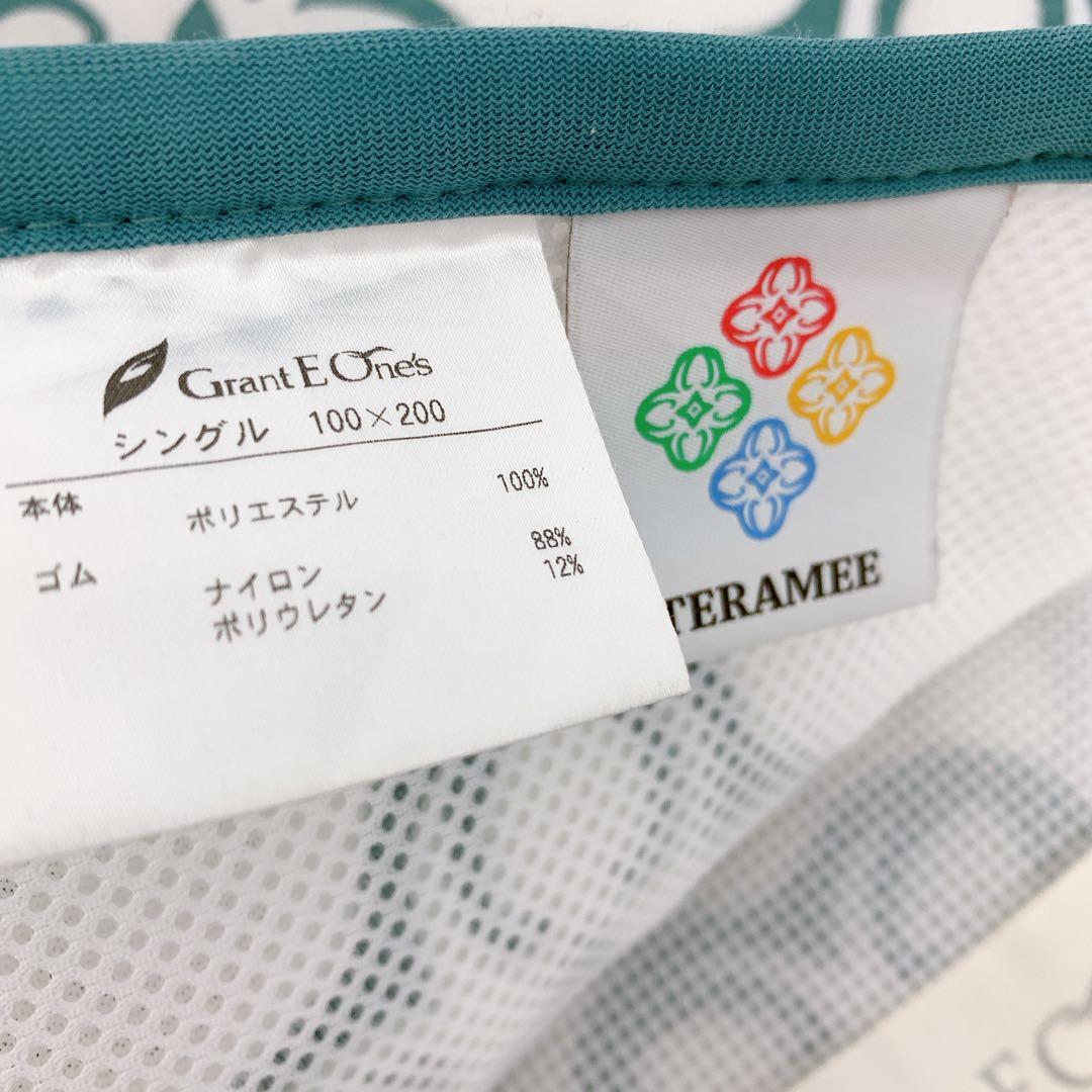 8SCM10 グラントイーワンズ　ホルミシス テラミーシーツ グリーン