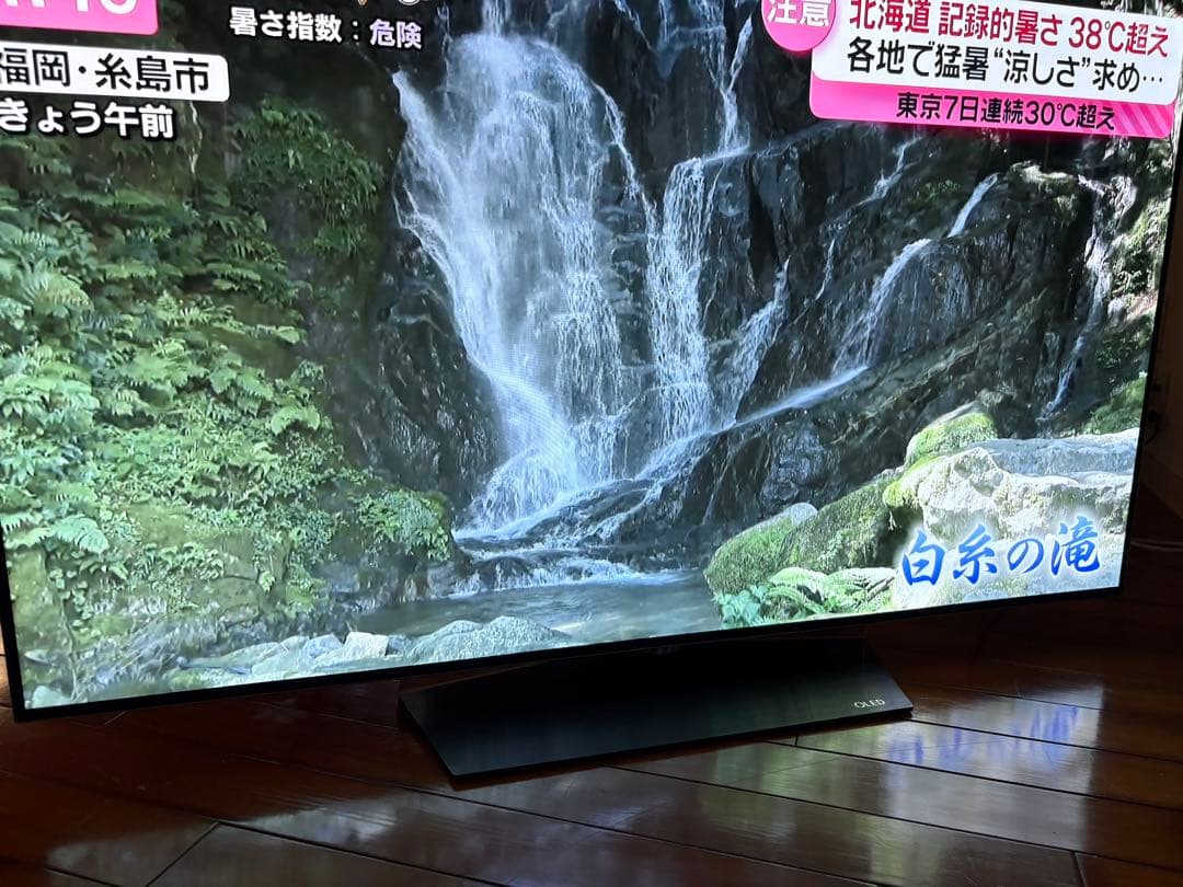 【LG／有機ELカラーテレビ】55インチ　4K　OLED55B6P