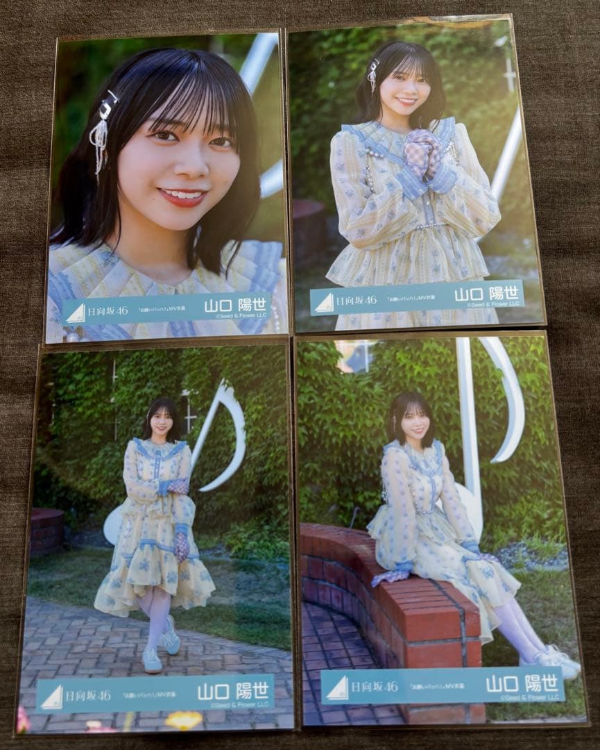 日向坂46　山口陽世　生写真　11種コンプセット