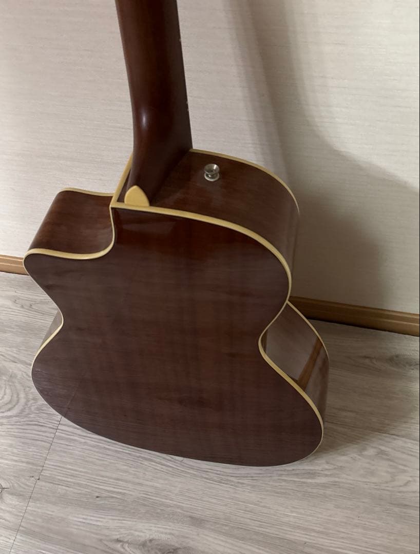 Fender newporter player, SB WN ギター