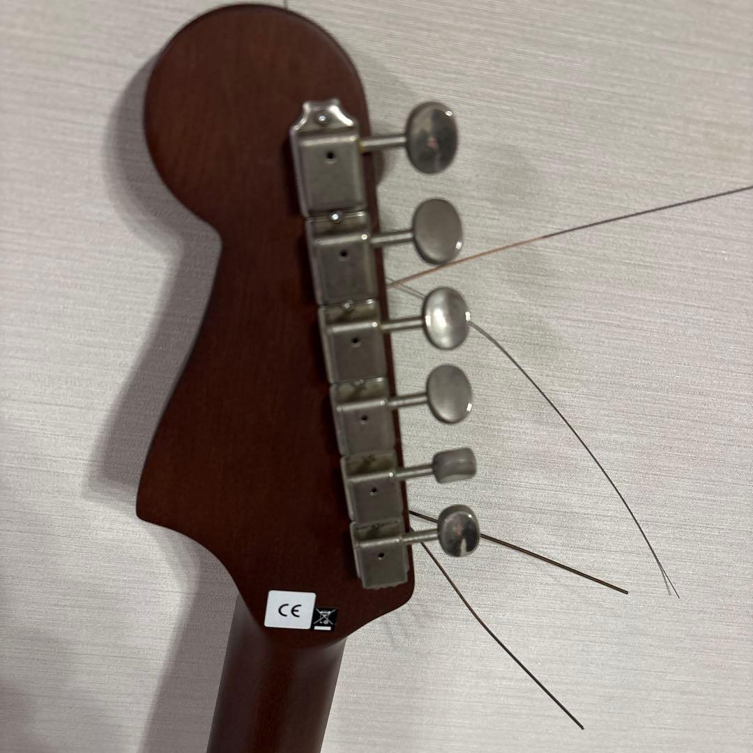 Fender newporter player, SB WN ギター