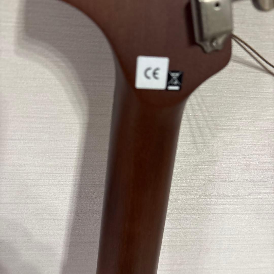 Fender newporter player, SB WN ギター