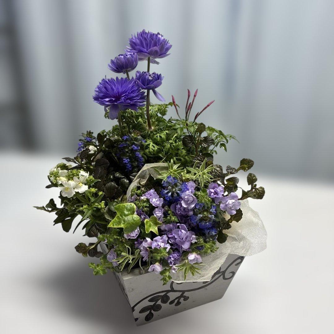 木製プランターに寄せ植え　ギャザリング