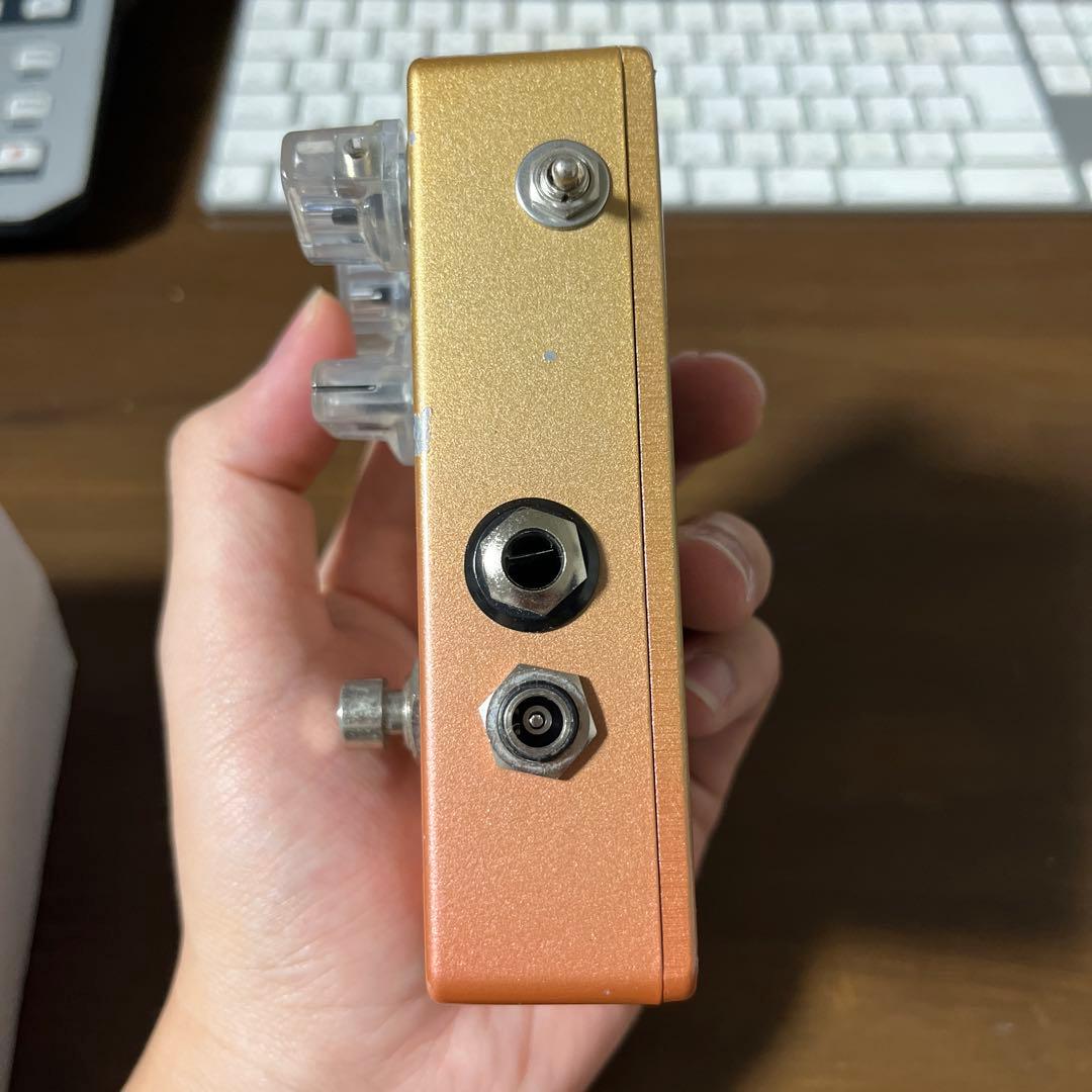 ギター vivie ferrecomp